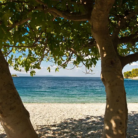 Blue Bay